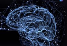 Photo of باحثون يكتشفون تشابهًا مخيفًا بين دماغ الإنسان والذكاء الاصطناعى