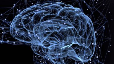 Photo of باحثون يكتشفون تشابهًا مخيفًا بين دماغ الإنسان والذكاء الاصطناعى