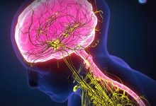 Photo of إكتشاف تكنولوجي جديد قد يعجل تطور علاج إصابات الحبل الشوكي