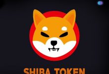 Photo of العملة المشفرة Shiba Inu تكشف عن بطاقة SHIB Visa